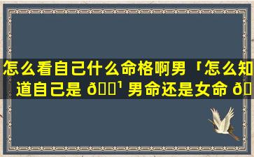 怎么看自己什么命格啊男「怎么知道自己是 🌹 男命还是女命 🐞 」